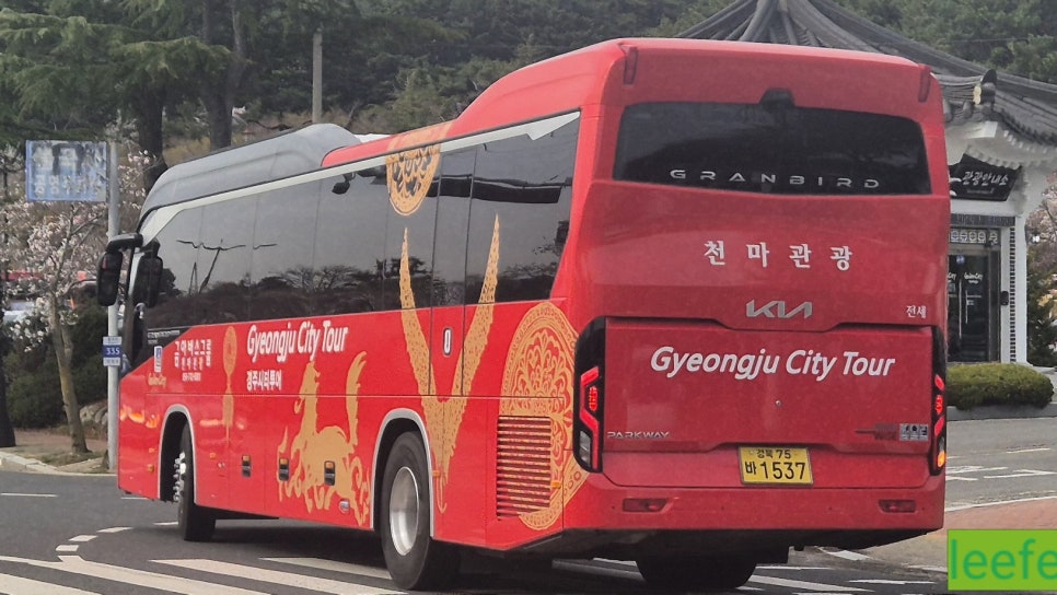 경주시티투어천마관광 이미지