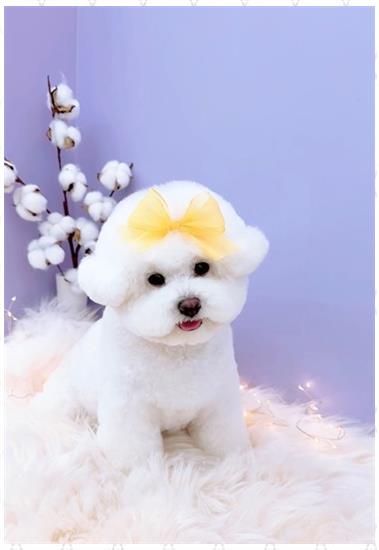 제니살롱 이미지