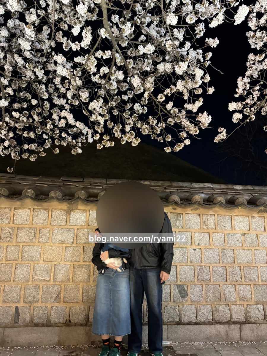 한국맥도날드경주보문DT점 이미지