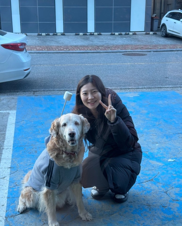 스위트비긴 이미지
