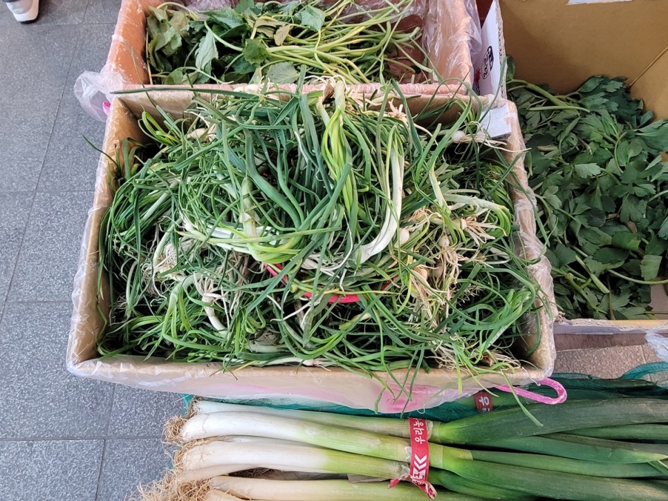 맛있는식탁 이미지