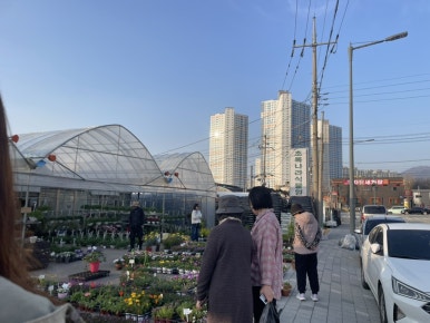 초록나라식물원 이미지
