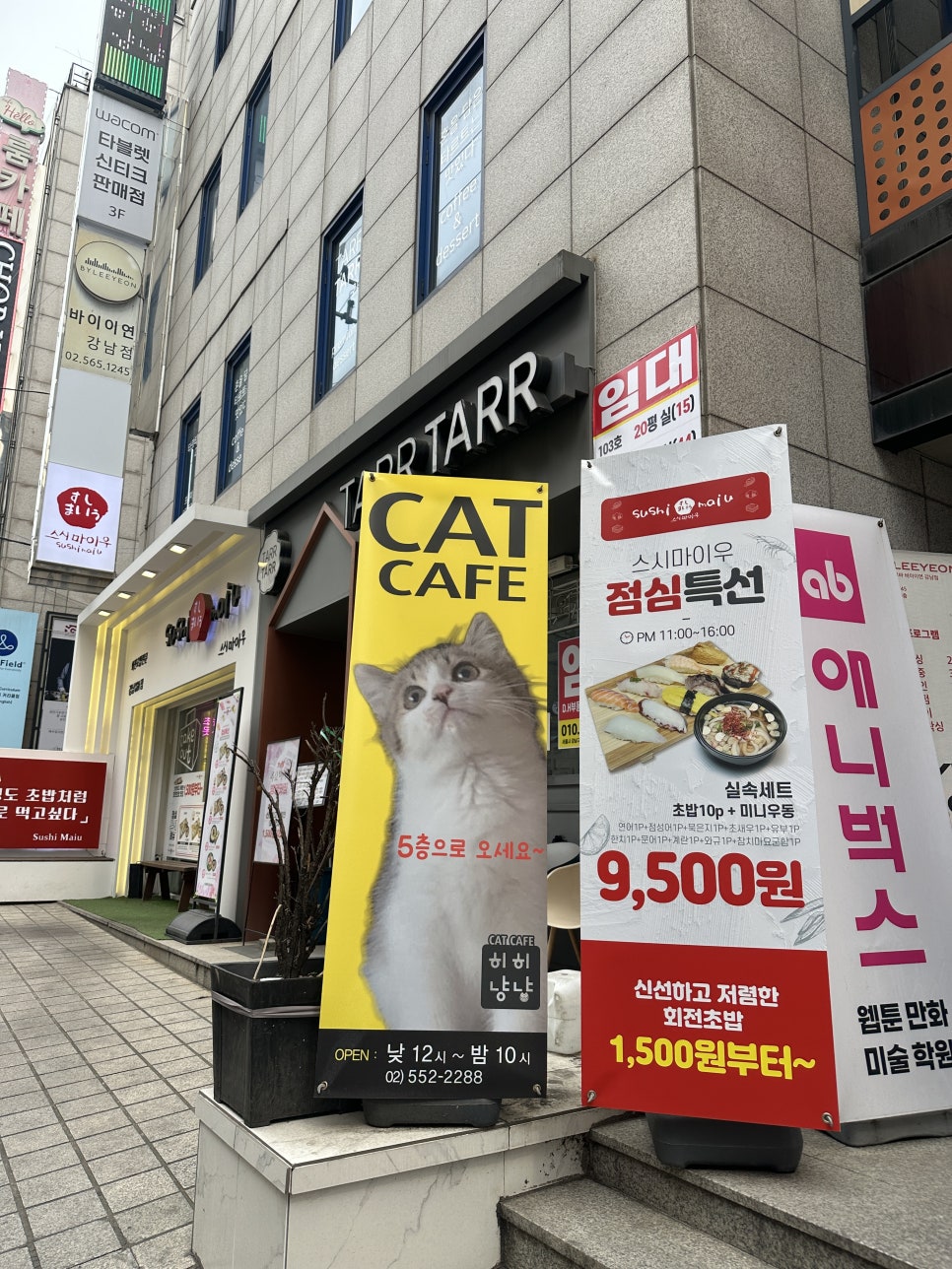히히냥냥 이미지