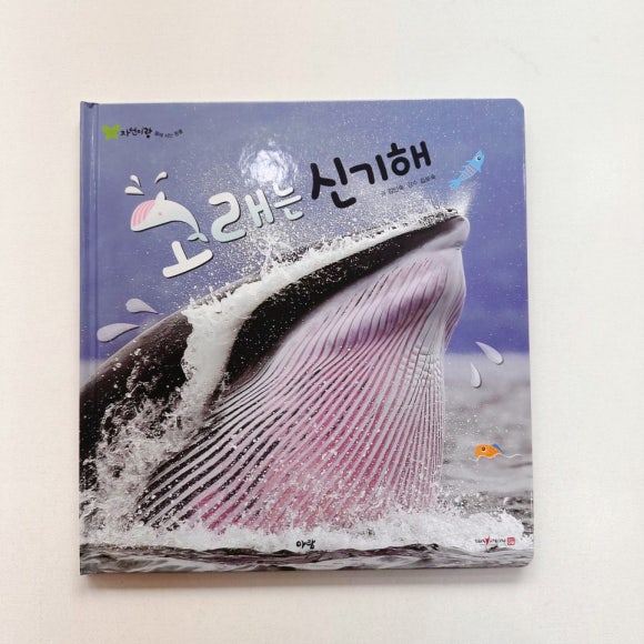 자연이랑자연으로 이미지