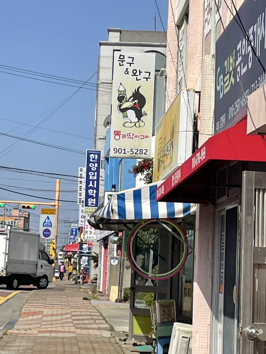통큰딱따구리 이미지