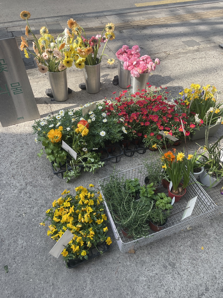 단골꽃집 이미지