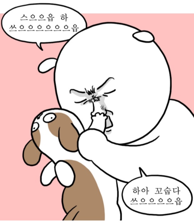 그레이스투어 이미지