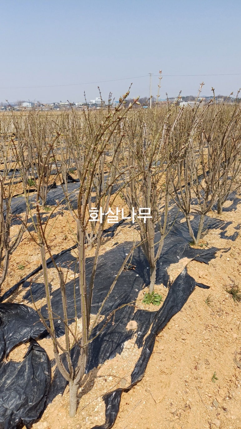 화성농원 이미지