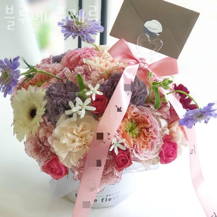 블루메플레르 이미지