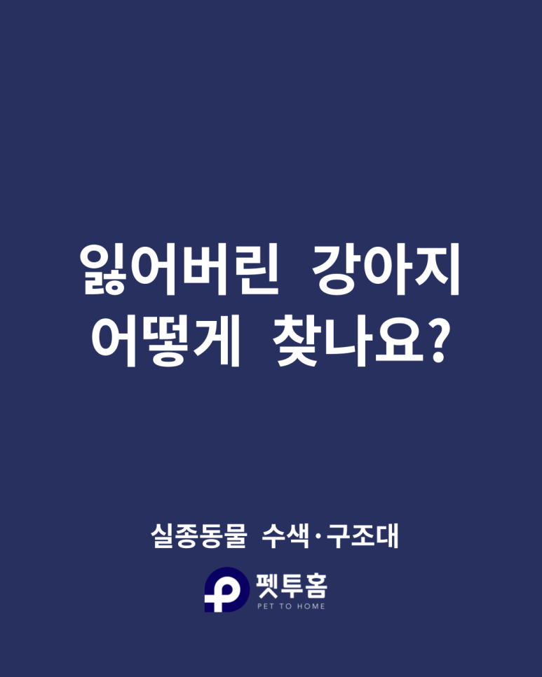 지드론 이미지