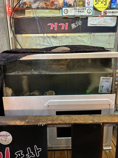 포차처럼 권선점 이미지
