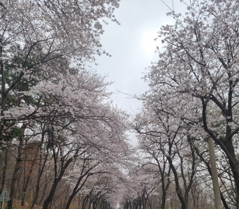 은혜푸드 이미지