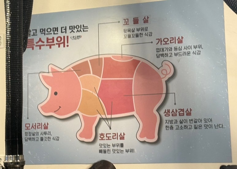 호돈구이 이미지