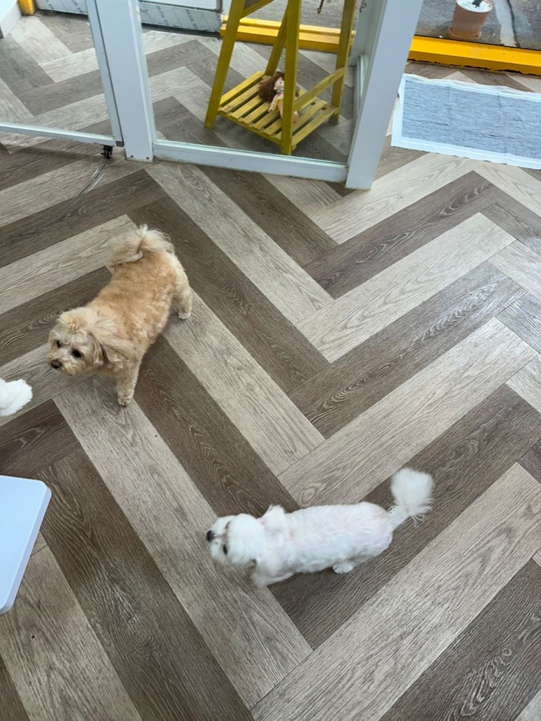 마이뷰티 이미지