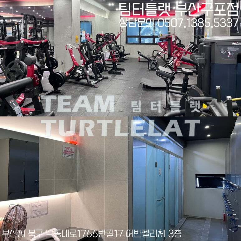 팀터틀랫유성 이미지