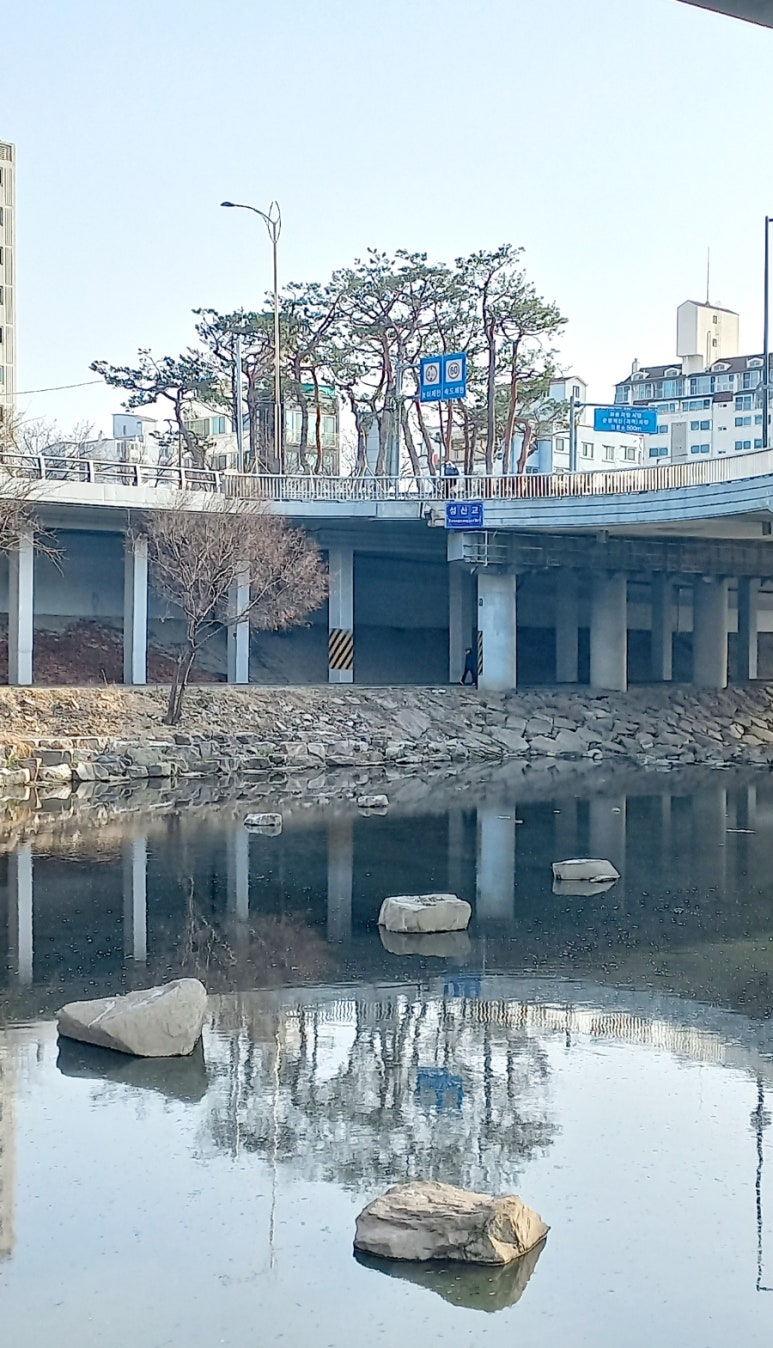 이인섭안과 이미지