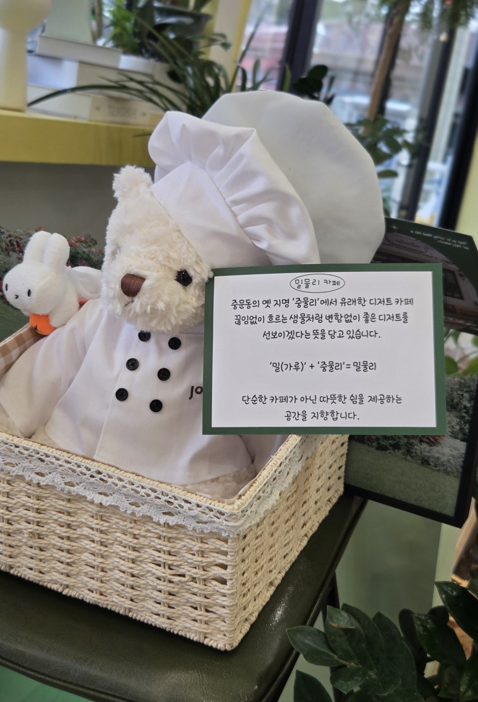 밀물리 이미지