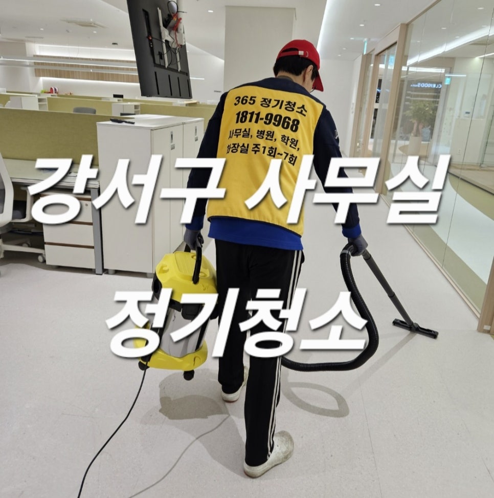 돌핀크린 이미지