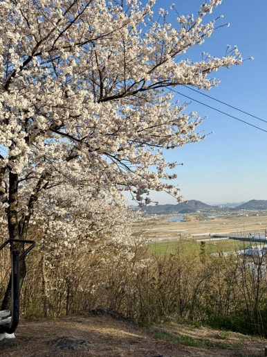 말미산정상 이미지