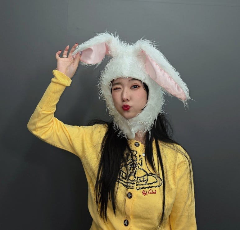 디씨땡 이미지