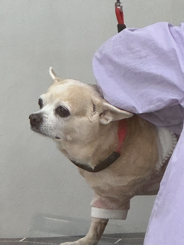 미용실다온 이미지