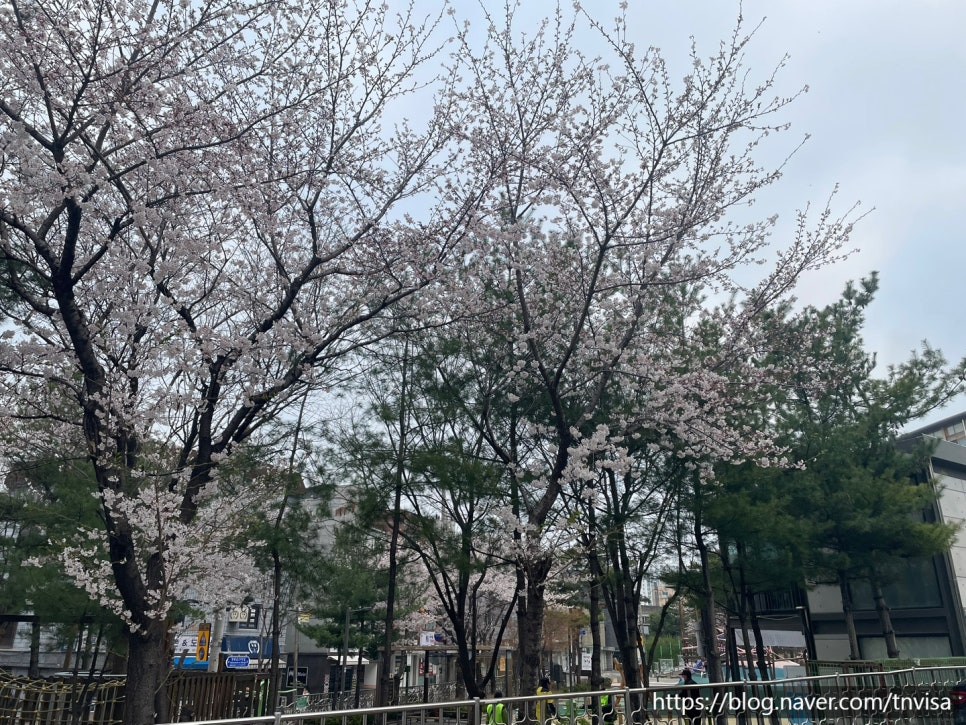 정담한식 사진 5