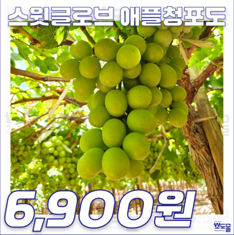 소도몰 이미지