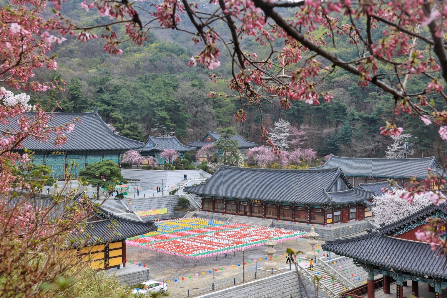 형형색(주) 이미지