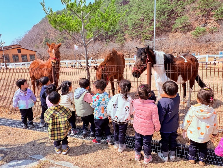 사회복지법인나래영재어린이집 이미지