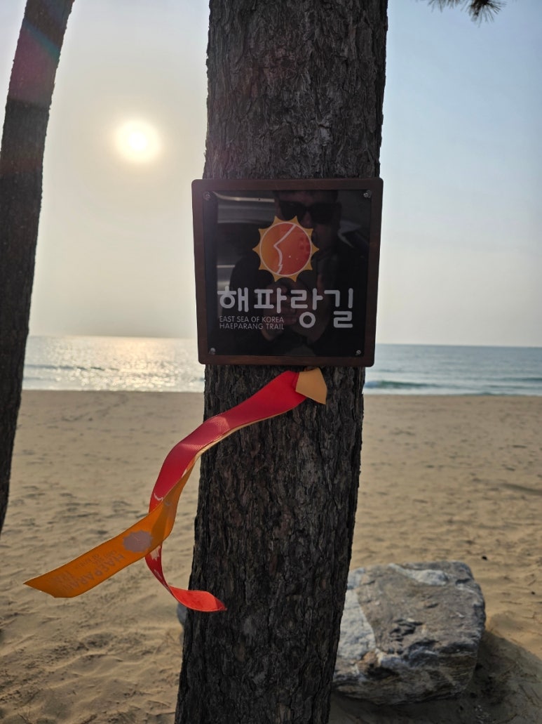 울산광고사 이미지