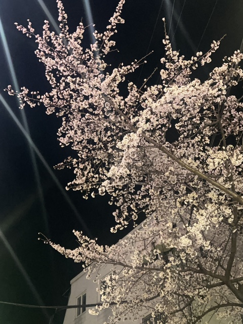 영선상회 이미지