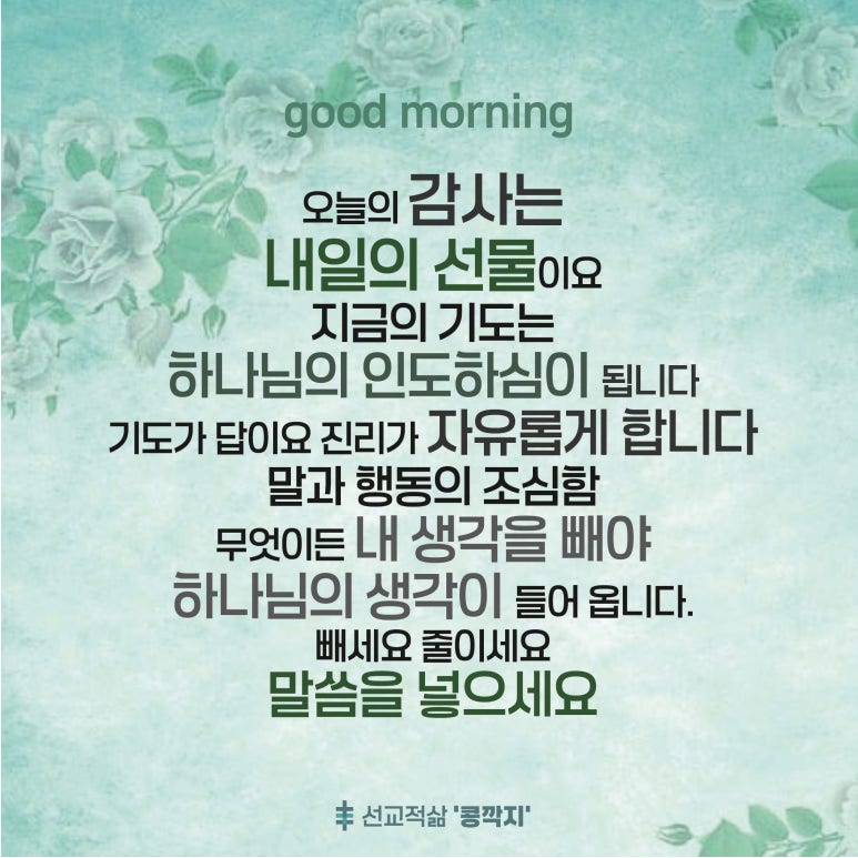 콩깍지 이미지