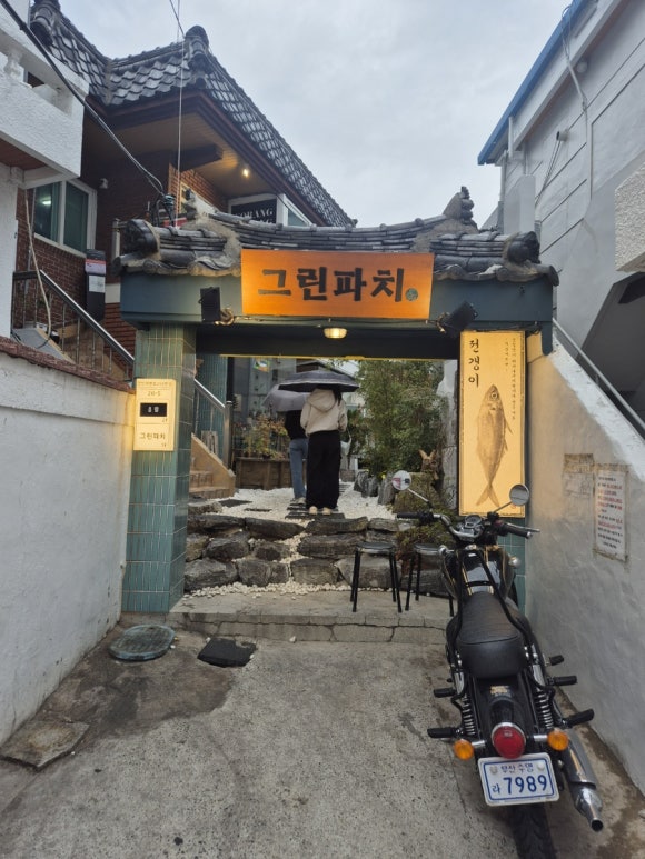 그린파치 이미지