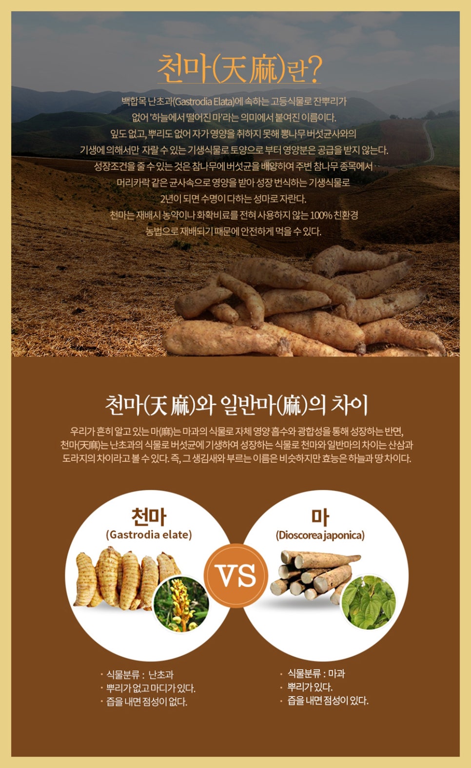천마마트 이미지