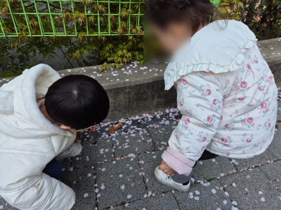 국공립햇살어린이집 이미지