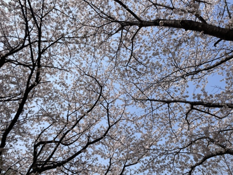 너로인해 꽃길 이미지