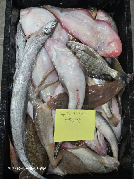 임여사수산 이미지