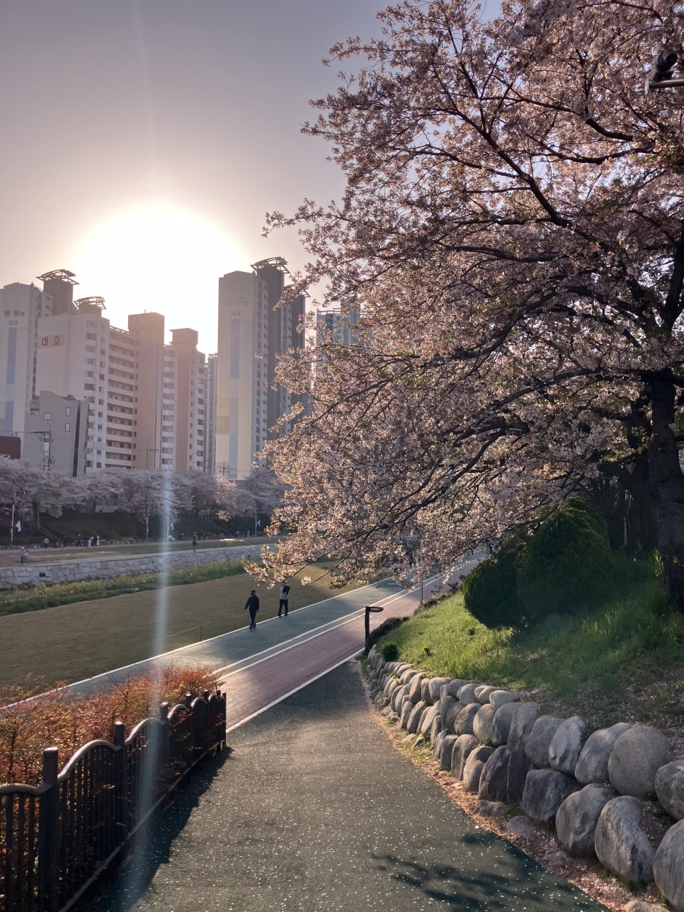 수안컴퍼니 이미지