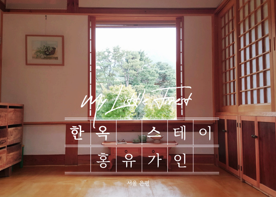 홍유가인 이미지