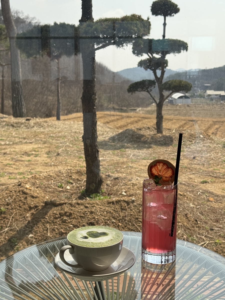포레스트테일 이미지