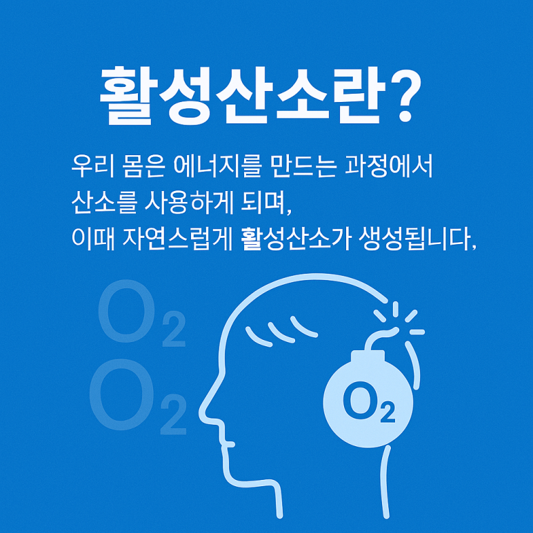 하루두피 동탄역점 이미지