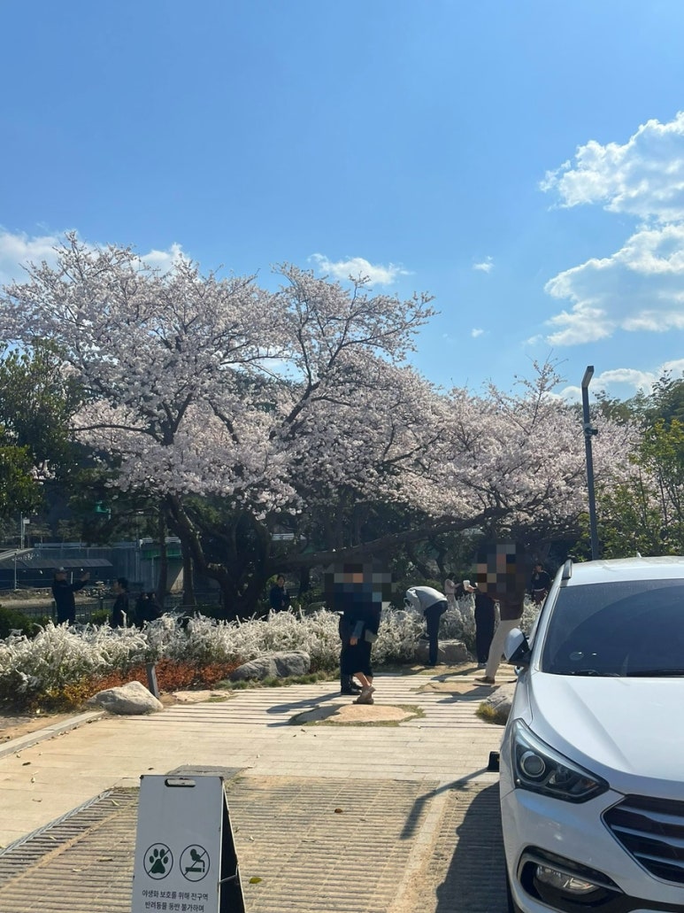 임랑월 이미지