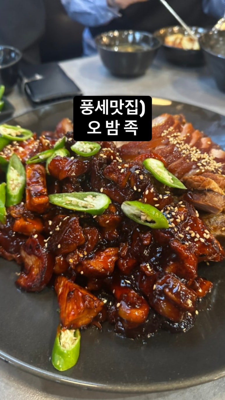 오밤족 이미지