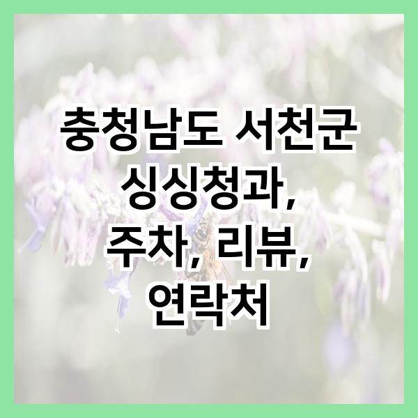 싱싱청과 이미지
