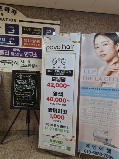 파보헤어 이미지