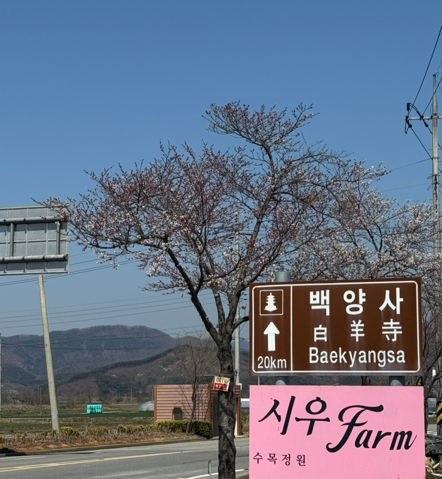 농업회사법인 마음이가(주) 이미지