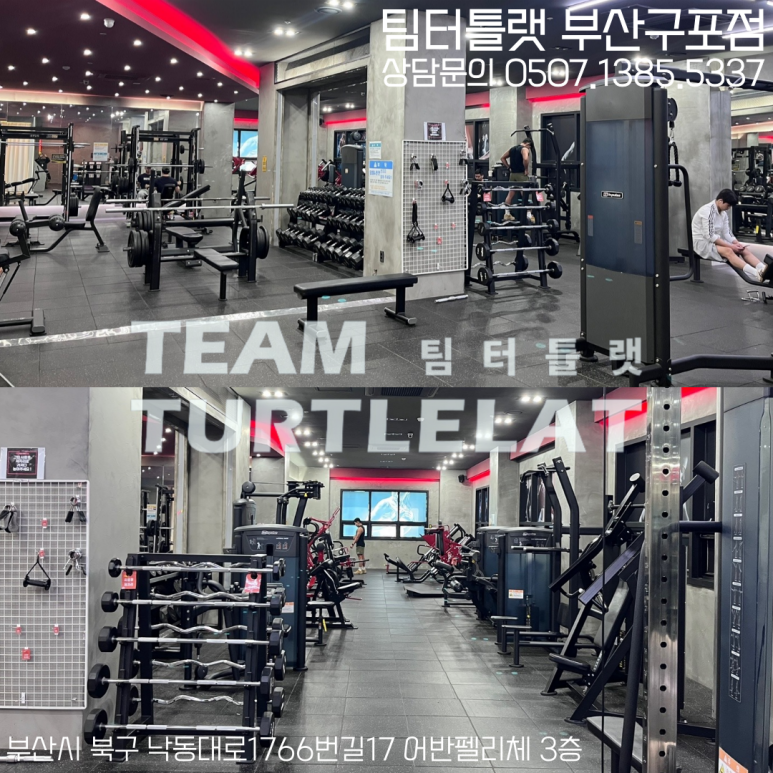 팀터틀랫유성 이미지