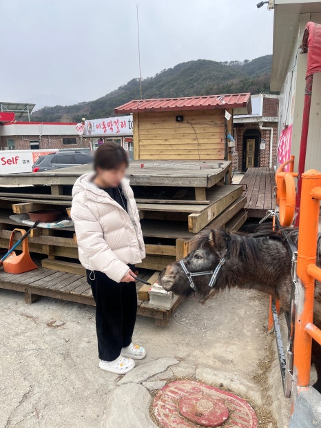 조랑말주유소 이미지