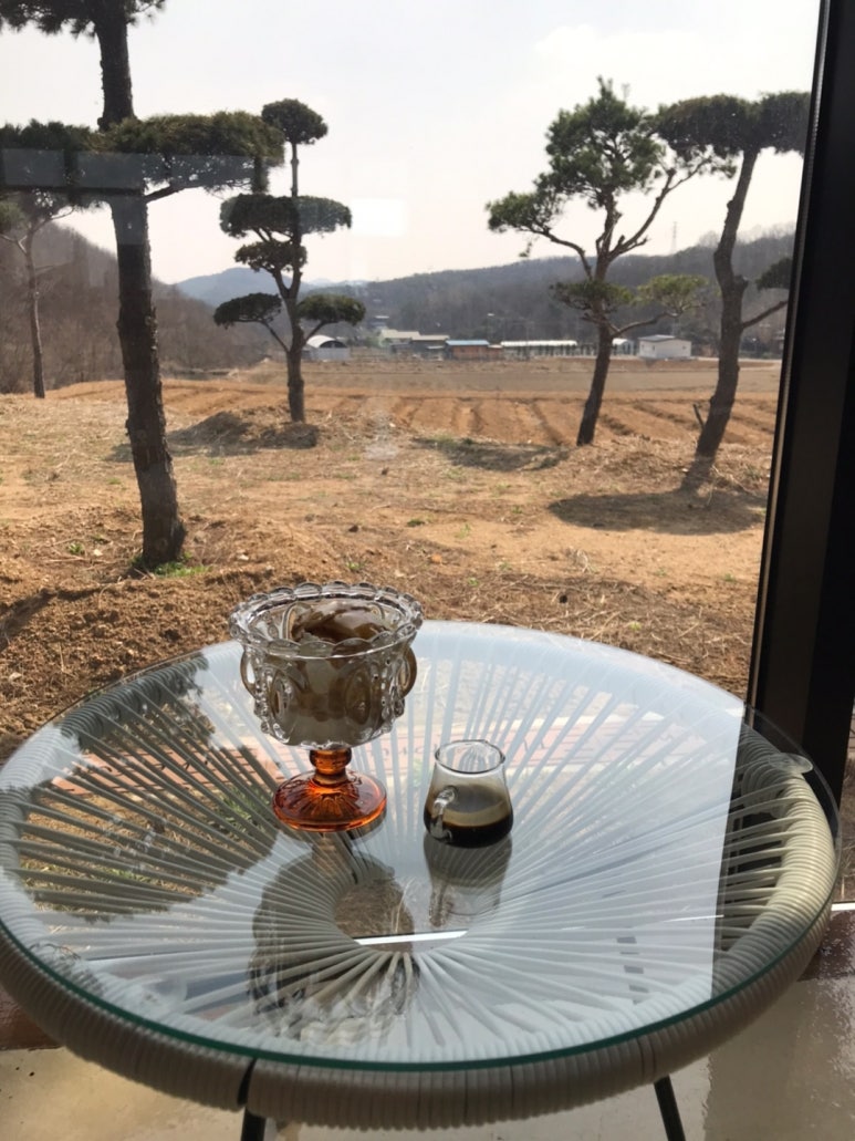 포레스트테일 이미지