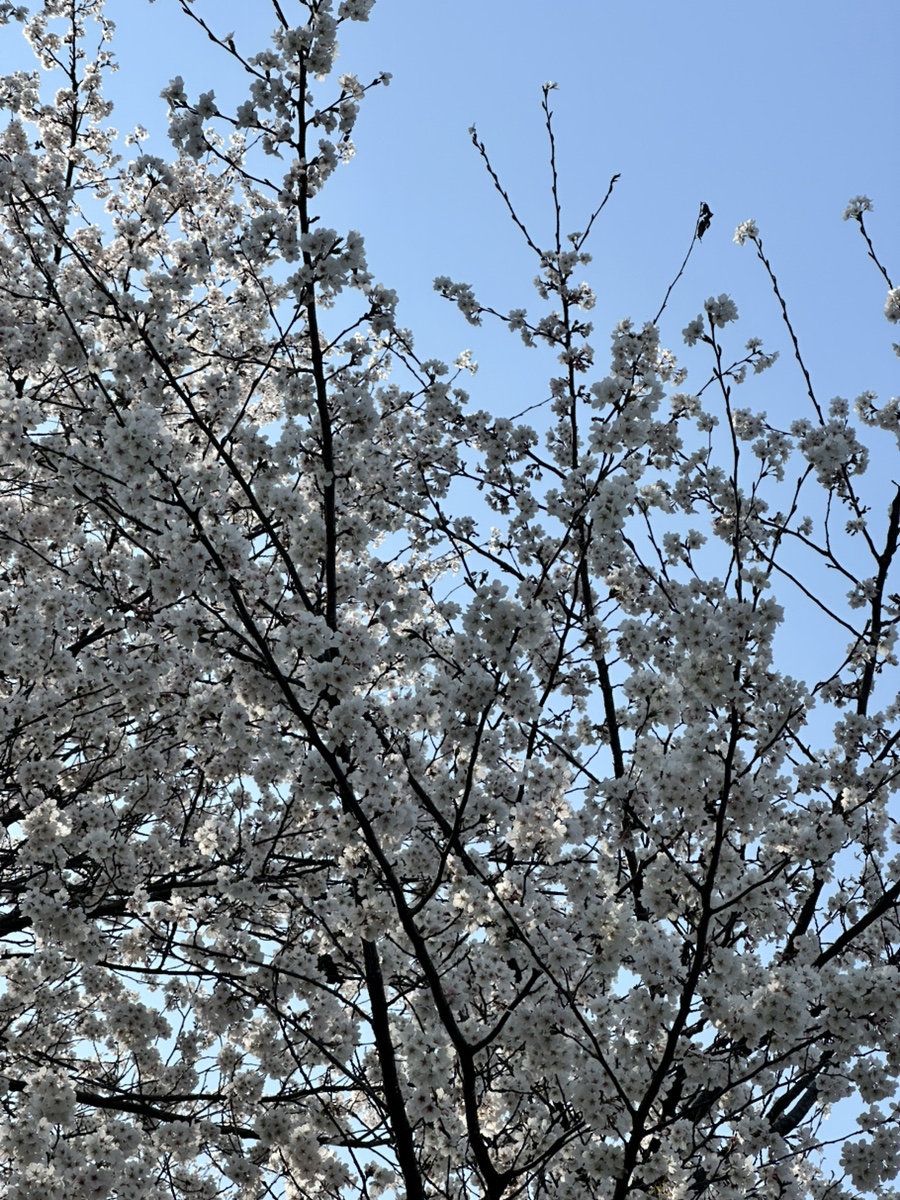 바른바름페인트 이미지